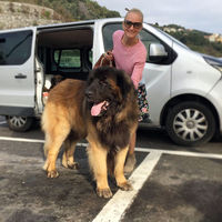 Yulia, Italy